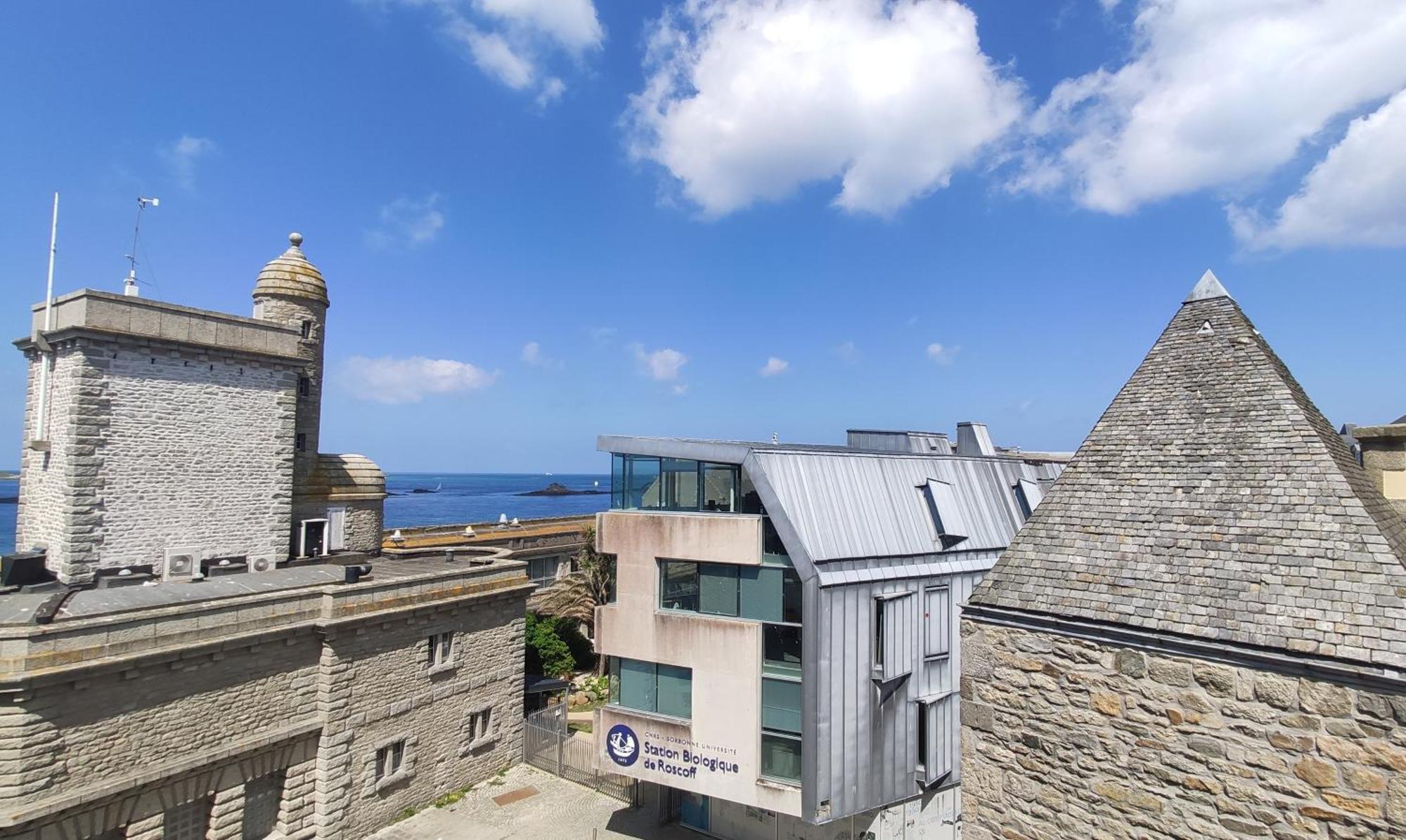 Roscoff 2 Pieces Classe 2 Etoiles Et Terrasse Centre Historique Buitenkant foto
